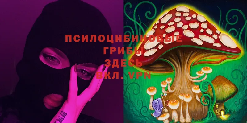 Псилоцибиновые грибы Cubensis  Бикин 